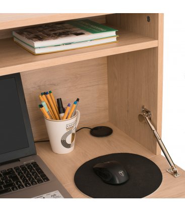 Escritorio - secreter con puerta abatible ZIGGY (varios acabados)