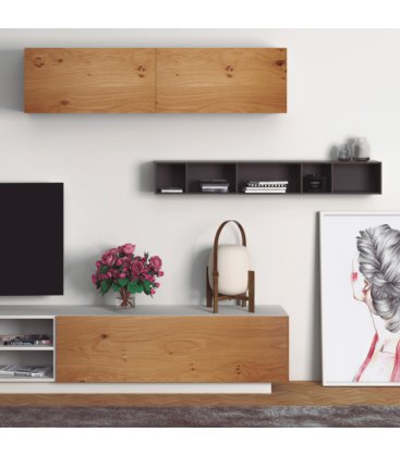 Mueble de TV, módulo de pared con puertas y estante ZISA (varios acabados y apoyos)