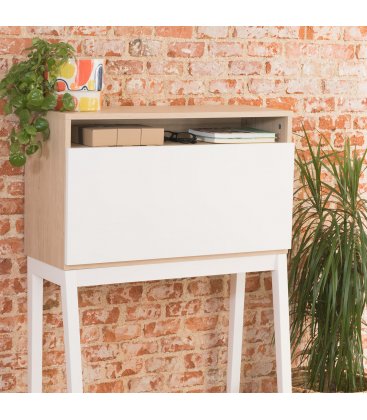 Escritorio - secreter con puerta abatible ZIGGY (varios acabados)