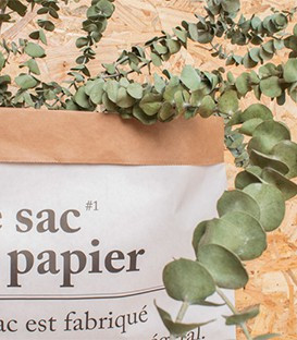 Le sac en papier / The paper bag